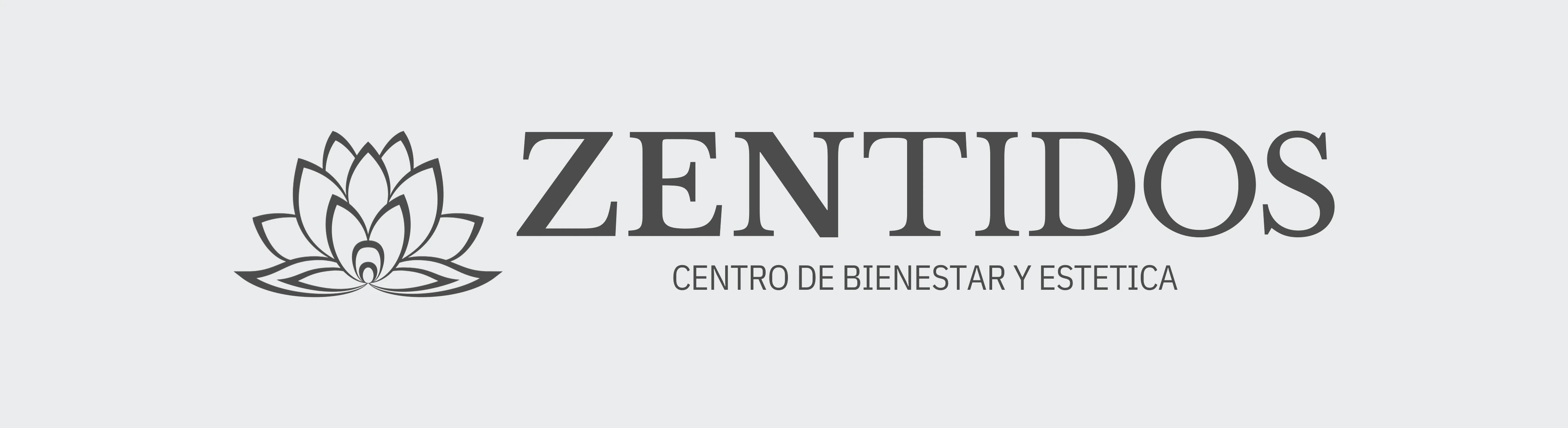 Zentidos Logo